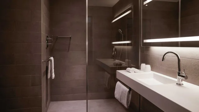 Deluxe — room and balcony